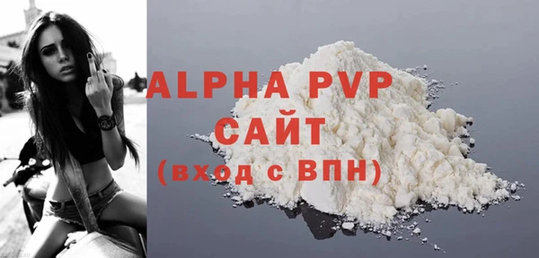 ECSTASY Ельня