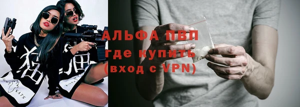 ECSTASY Ельня