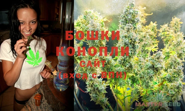ECSTASY Ельня