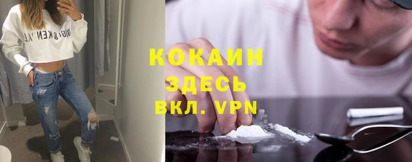 ECSTASY Ельня