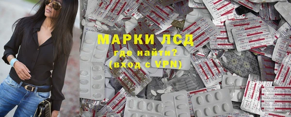 ECSTASY Ельня
