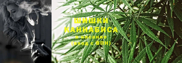ECSTASY Ельня