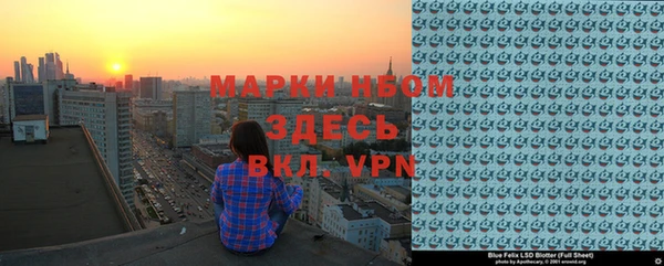 ECSTASY Ельня