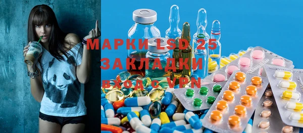 ECSTASY Ельня