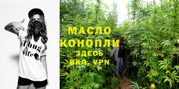 ECSTASY Ельня