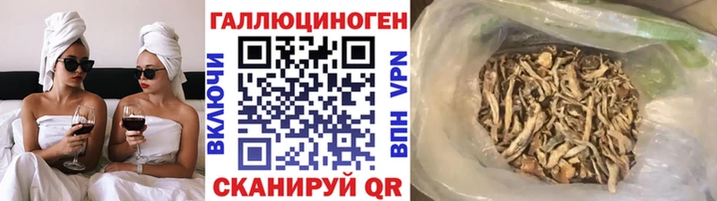Псилоцибиновые грибы мицелий  Купить закладки  Кандалакша 
